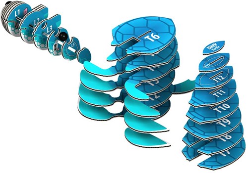 Eugy 3D Puzzle Schildkröte - nachhaltiges Bastelset Tierfigur-3