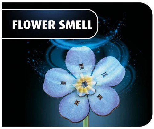 Revell Holzblumen Set mit Vase und Duft - kreatives Spielzeug für Kinder-3