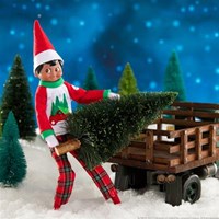 ELF ON THE SHELF Der Elf im Regal – Pyjamas mit Bäumen und Bauernhof-3
