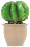 Egmont Toys Heico Lampe Kaktus im Blumentopf 27x16,5 cm