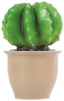 Egmont Toys Heico Lampe Kaktus im Blumentopf 27x16,5 cm