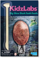 DAM 4M Dig & Play: GRAVE YOUR SHARK'S TAND-OP, Gipsei mit 2 phosphoreszierenden Haifischzähnen, mit Grabwerkzeug und 2 Halsketten, Blister 22x15cm, 5+