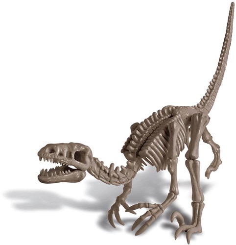 4M KidzLabs Dinosaurier Ausgrabungsset - Velociraptor - Lernspielzeug-2