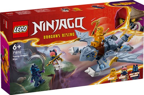 NIN Riyu der Babydrache