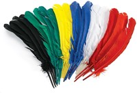 Colorations - Bastelfedern 30cm, Set mit 24 bunten Federn
