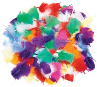 Colorations Regenbogen Bastelfedern Set - 85 Gramm - bunte Federn