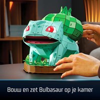 4d Build Pokemon Balbasaur-2