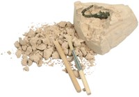 BONES AND MORE Dig Your Mini Dino Figure-3