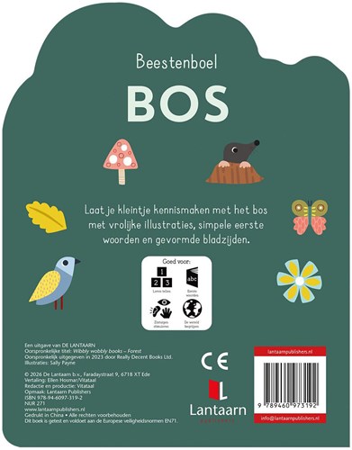 Lantaarn Pappbuch Waldtiere - stabiles Kleinkindbuch mit Tieren-3