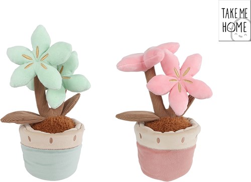 Take Me Home Plüsch Pflanze Kuscheltier mit Blumen 24cm Spielzeug