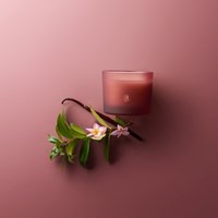 Bolsius Duftkerze Duftglas mit Korkdeckel Floral Blessings 66/83 rosa-2