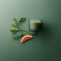 Geurverspreider 80 ml True Joy Botanic Freshness