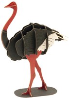 FRIDOLIN 3D-Papiermodell – Strauß-2