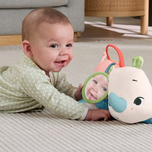 Fisher-Price Spielmatte Nashorn für Bauchlage - Baby Spielzeug-2