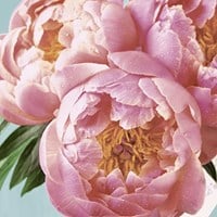 Duni Servietten Pink Peony 3-lagige Papierservietten 33x33cm