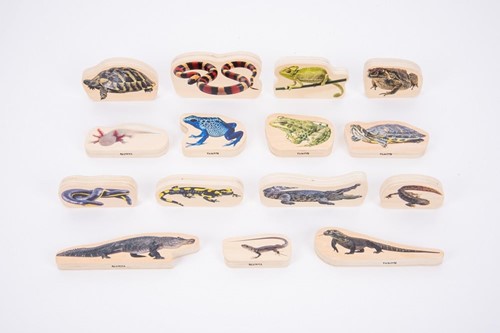 TickiT Tickit Houten Reptielen- En Amfibieënblokken