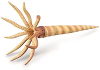 Collecta Spielfigur Orthoceras prähistorisches Tier PVC 13 cm-2