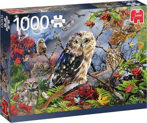 Jumbo 18859 Eulen im Mondschein-1000 Teile Owl Zubehör, Mehrfarben