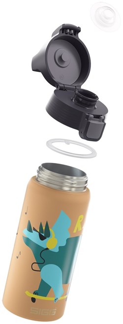 SIGG Trinkflasche Rawfood 0,5 Liter - Aluminium - auslaufsicher - bunt