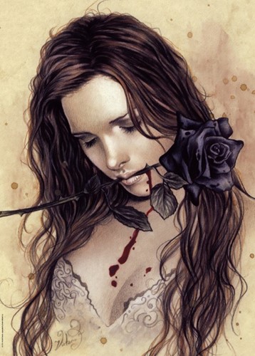 Heye Puzzle Dark Rose, Französisch 1000