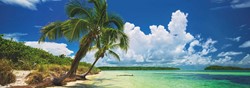 Heye Puzzle Puzz.Paradise Palm 2000 Teile.