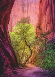 Heye Puzzle: Singender Canyon 1000