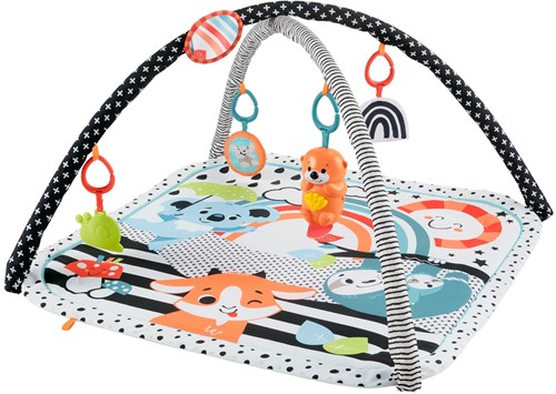 Fisher Price new born 3-in-1 glow & grow gym