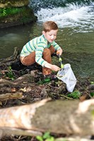 Haba Terra Kids - Kescher 70 cm schwarz grün - Outdoor Spielzeug-2