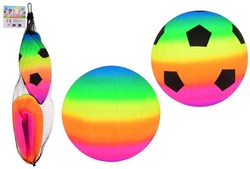 2 Regenbogenbälle in Netzgröße 3 29661