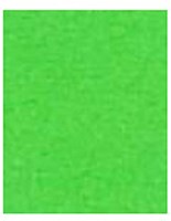 Papier A4 120gr 100 Blatt grün
