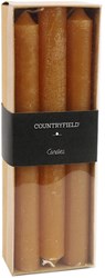 Countryfield Dinnerkerzen Set 6 Stück Bernstein 20cm - stimmungsvolle Kerzen