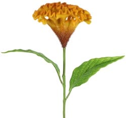 Countryfield Kunstblume Celosia orange Dekoblume 62cm