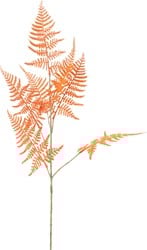 Countryfield Kunstblume Asparagus orange Dekoration 85cm Kunstpflanze