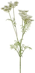 Countryfield Kunstblume Dekoration Anethum weiß 80cm künstlicher Zweig
