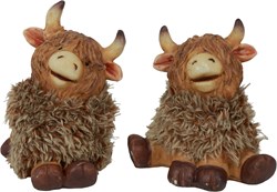 Cilgro Schottisches Hochlandrind Spielfigur Temmi L 12x7,5x12cm - realistisches Tier