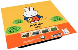 Nijntje Anzuchtset Spielzeug - Salat züchten mit Nijntje für Kinder