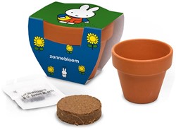 Nijntje Nijntje Terracota Pot Zonnebloem.