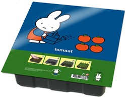 Nijntje Anzuchtset Tomate pädagogisches Spielzeug mehrfarbig Karton