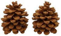 HBX natural living Deko-Zapfen Zimtduft braun Raumduft Geschenk