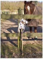 Goki Holz Steckenpferd weiß Spielzeug mit Rollen und Halfter-3