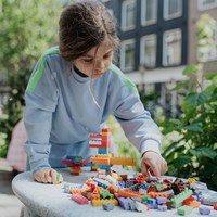 Classic Blocks 350-3