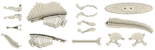Clementoni Dinosaurier Spielzeug Spinosaurus Jurassic Abenteuer-3