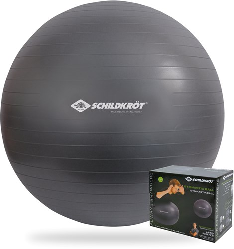 Schildkröt Fitness Gymnastikball 75cm - Yoga Sitzball Anti-Burst