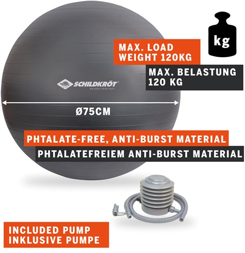 Schildkröt Fitness Gymnastikball 75cm - Yoga Sitzball Anti-Burst-2