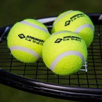 Schildkröt Tennisbälle Set - 3 Stück - ideal für Kinder und Hunde-2