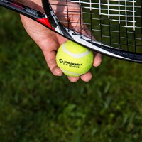 Schildkröt Tennisbälle Set - 3 Stück - ideal für Kinder und Hunde-3