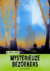 Harlekijn Kinderbuch geheimnisvolle Besucher Hardcover spannend 9+