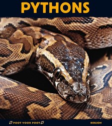 Harlekijn Kinderbuch Pythons Natur Tierreich lehrreich 8+