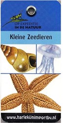 Harlequin Expeditionsbuch: Kleine Meerestiere (6 Stück)