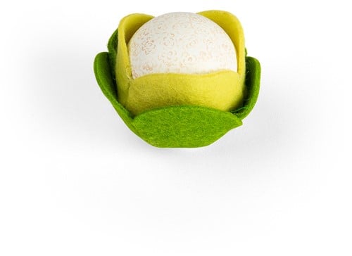 Bigjigs Toys Cauliflower (10)-2